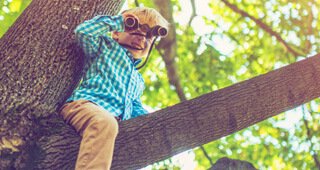 5 Debt Agreement Myths Explained