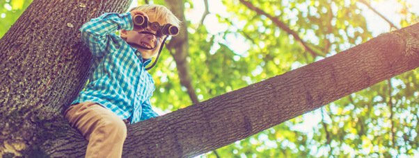 5 Debt Agreement Myths Explained