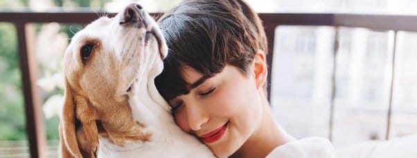 What You Need To Know About Pet Insurance?